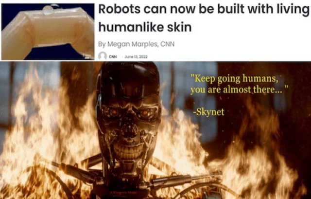 Memes For ''Terminator'' Fans (24 pics)