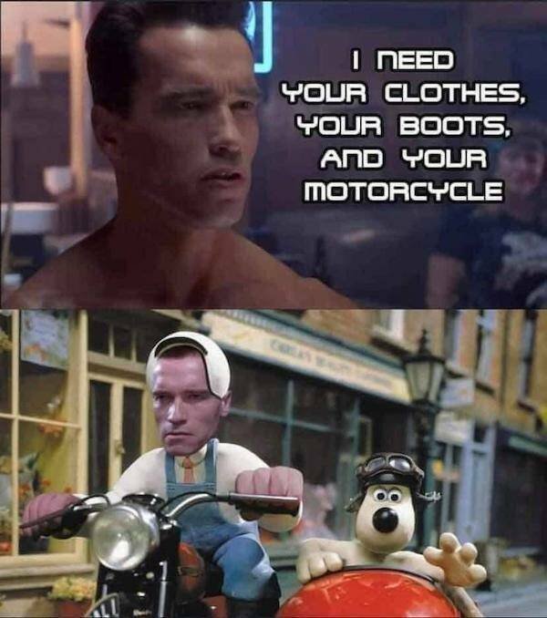Memes For ''Terminator'' Fans (24 pics)