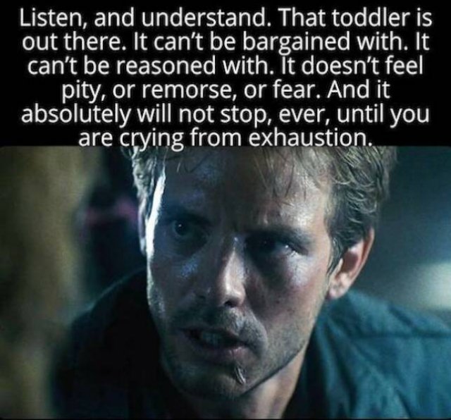 Memes For ''Terminator'' Fans (24 pics)