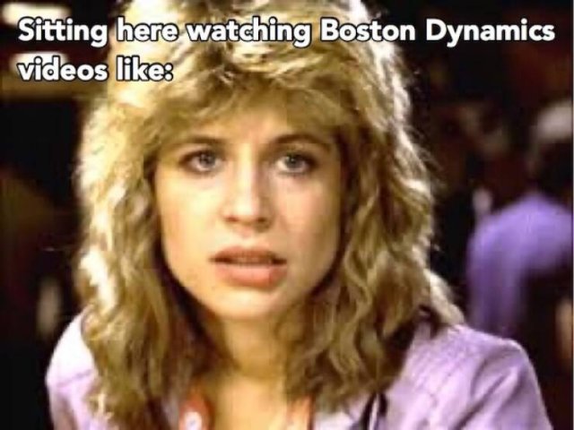 Memes For ''Terminator'' Fans (24 pics)