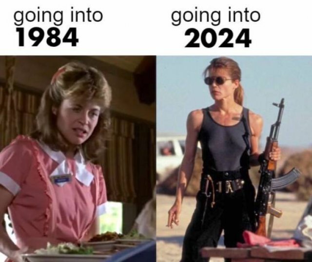 Memes For ''Terminator'' Fans (24 pics)
