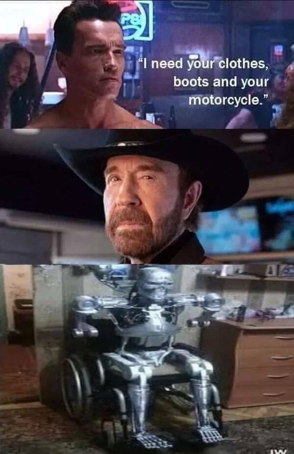 Memes For ''Terminator'' Fans (24 pics)