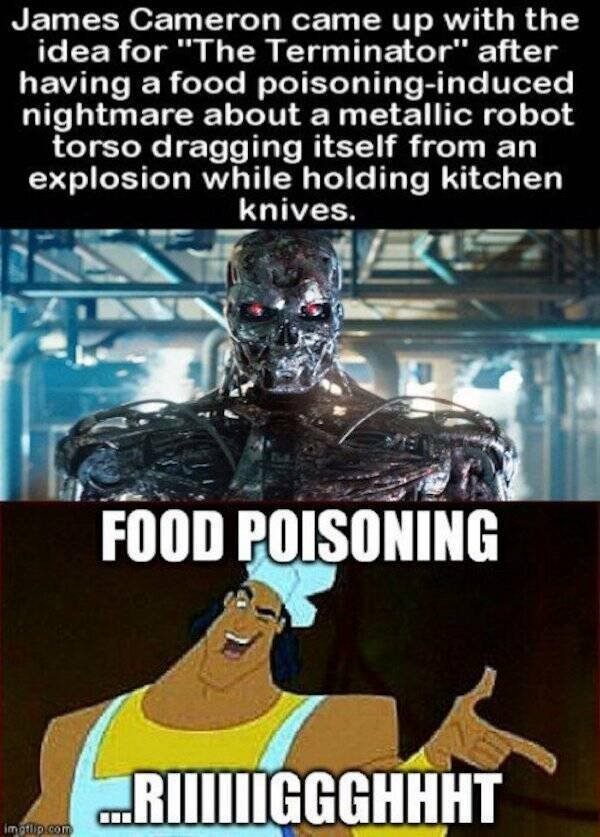 Memes For ''Terminator'' Fans (24 pics)