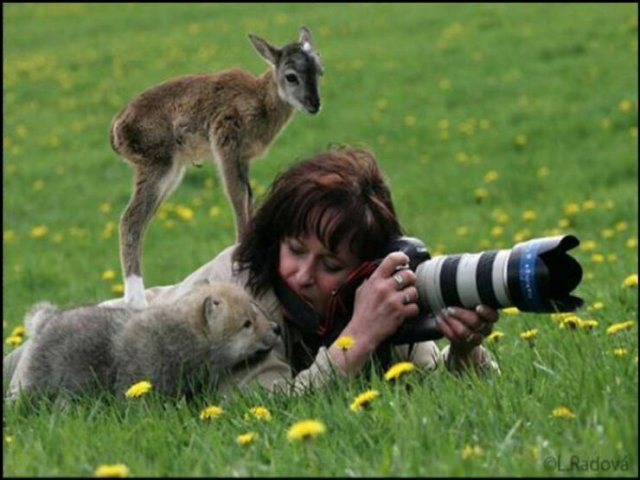 Stunning Animal Photos (25 pics)