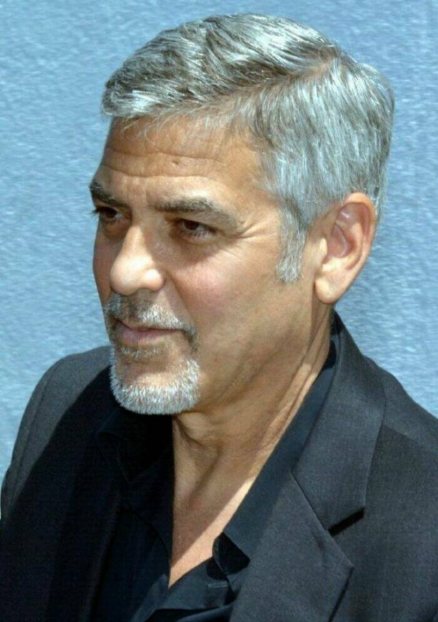 Celebrities Who Have Accepted Gray Hair (20 pics)