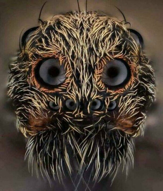 Scary Finds And Discoveries (22 pics)