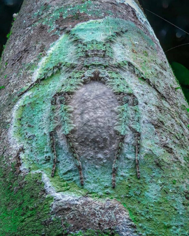 Scary Finds And Discoveries (22 pics)
