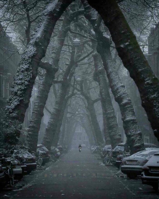 Scary Finds And Discoveries (22 pics)