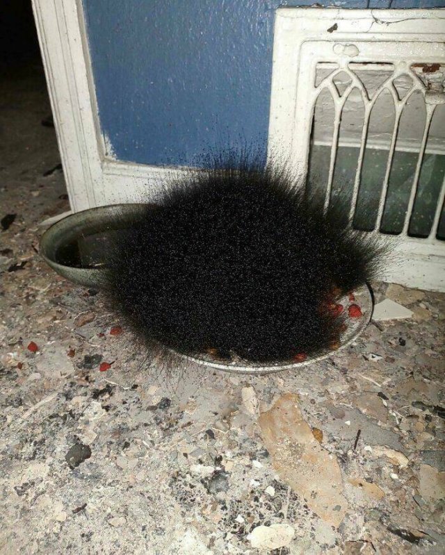 Scary Finds And Discoveries (22 pics)