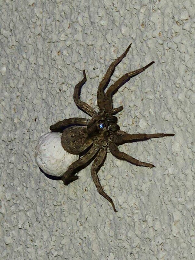 Scary Finds And Discoveries (22 pics)