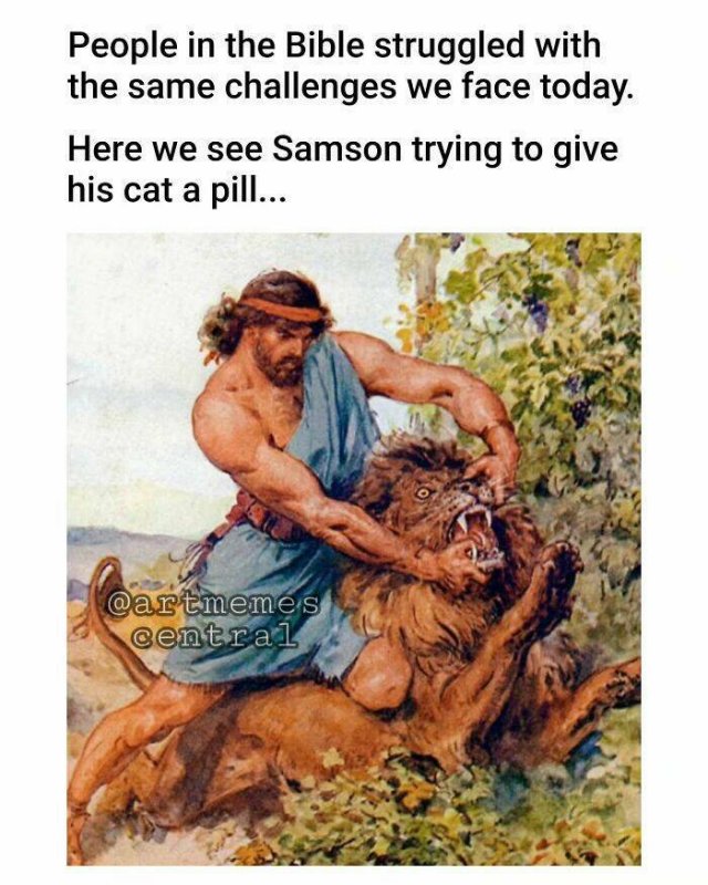 Classical Memes (23 pics)