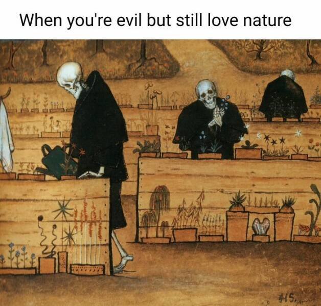 Classical Memes (23 pics)