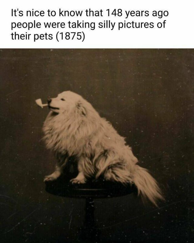 Classical Memes (23 pics)