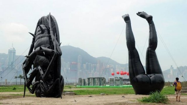 What Is Going On Here? (54 pics)