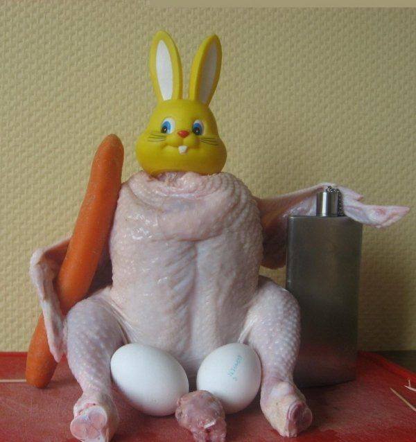 What Is Going On Here? (54 pics)