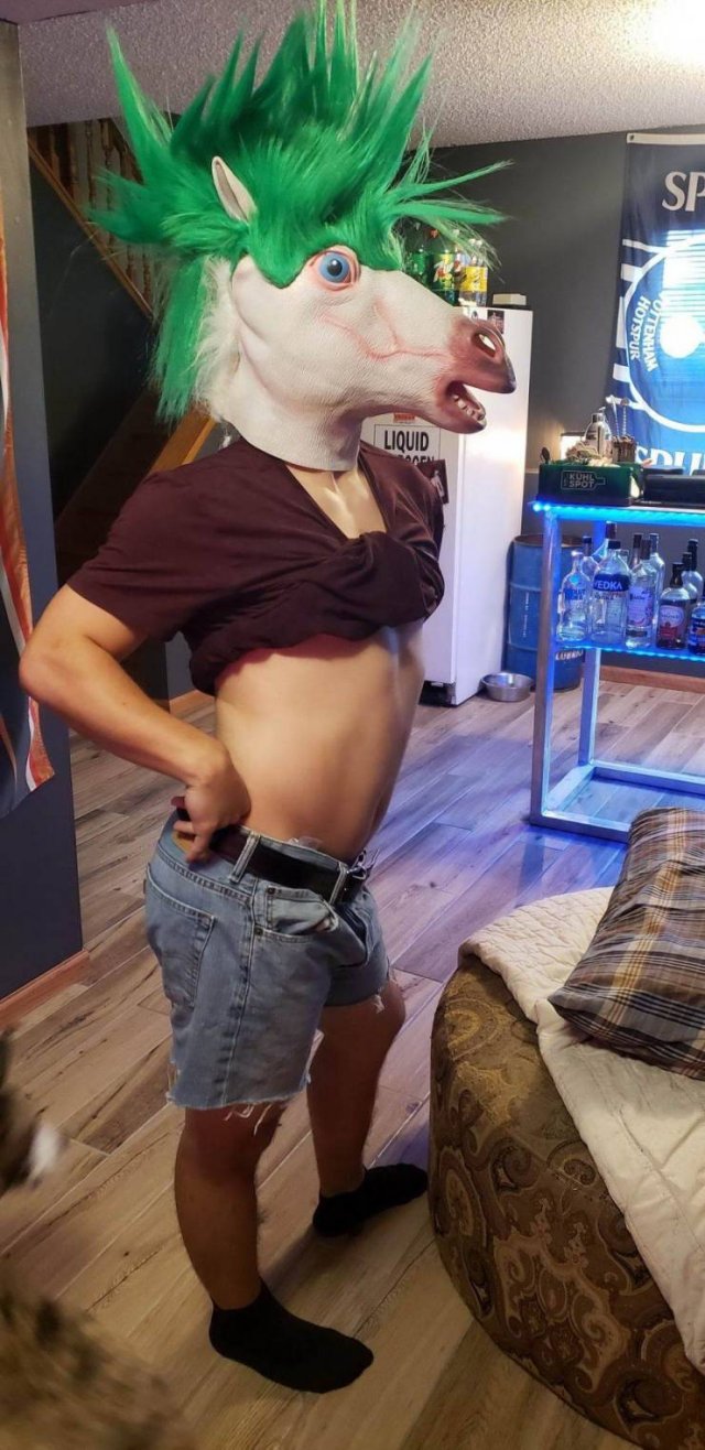 What Is Going On Here? (54 pics)