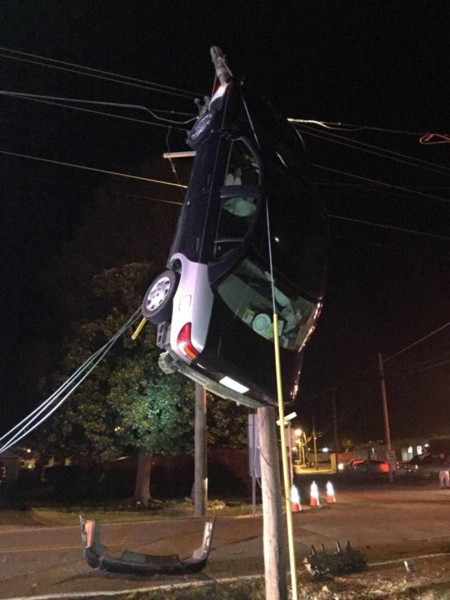 What Is Going On Here? (54 pics)