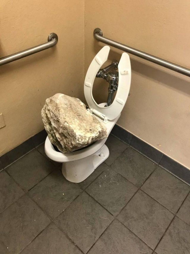 What Is Going On Here? (54 pics)