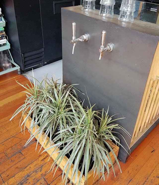 Creative Things In Bars And Restaurants (22 pics)