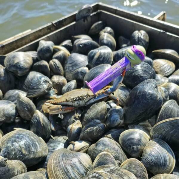 Weird Finds And Situations (20 pics)