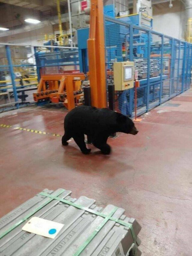 They Don't Think About Safety (25 pics)