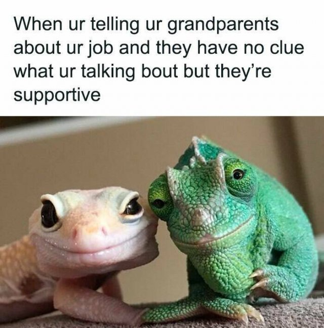 Random Memes (22 pics)
