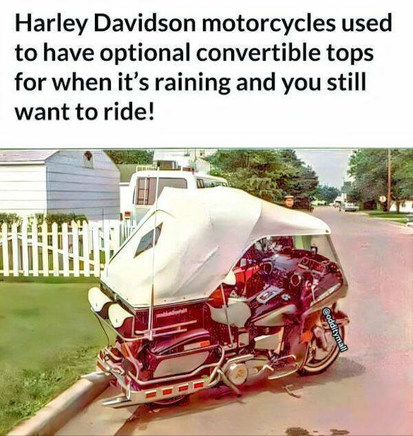 Funny Memes (18 pics)