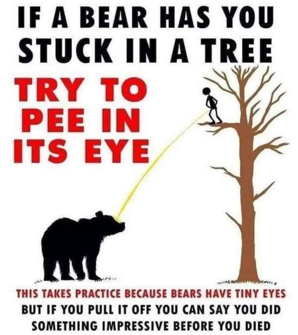 Funny Memes (18 pics)