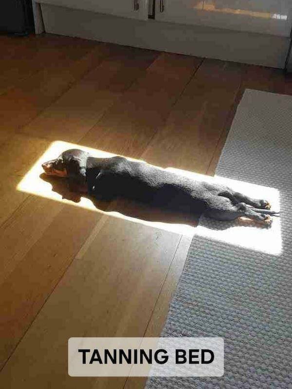 Funny Memes (18 pics)