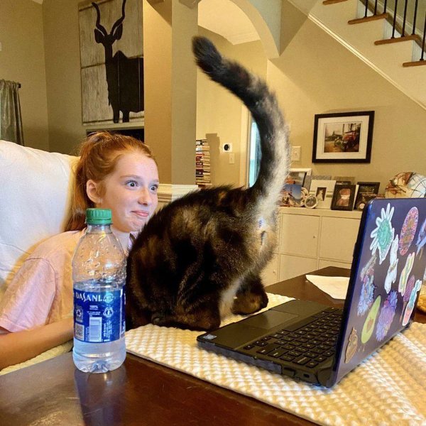 What Is Going On Here? (24 pics)