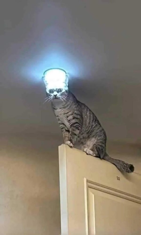 What Is Going On Here? (24 pics)