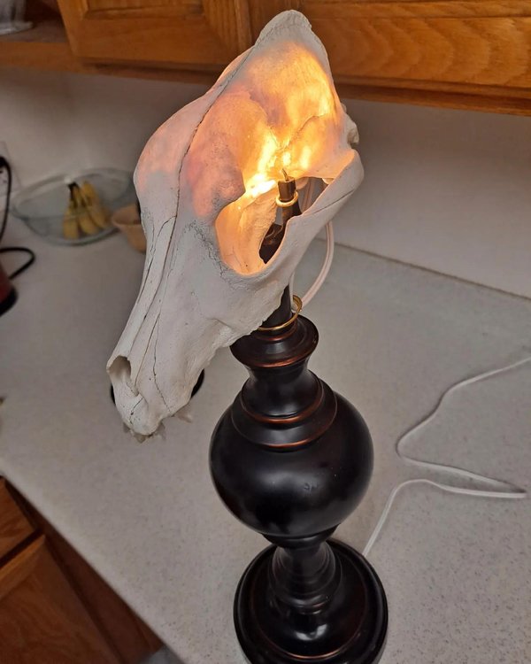 Odd Designs (22 pics)