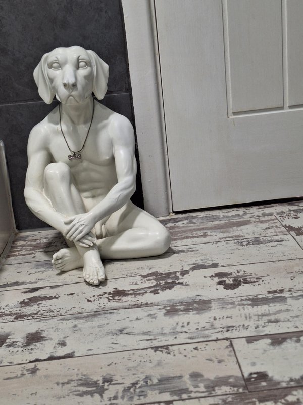 Odd Designs (22 pics)