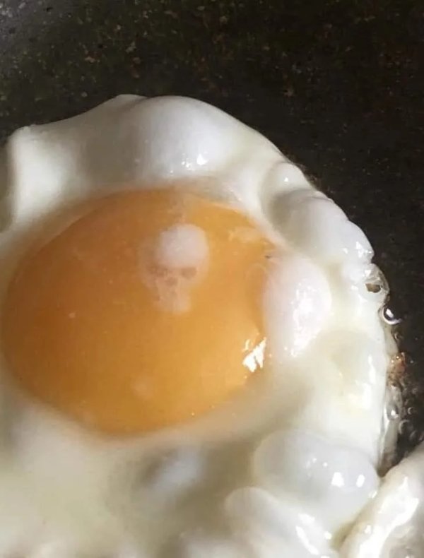 What Is Going On Here? (24 pics)