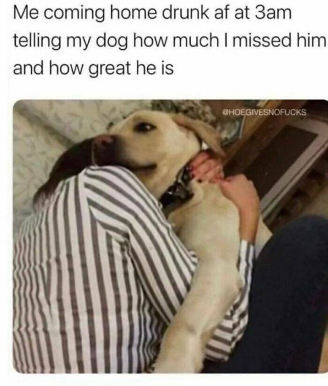 Funny Memes (24 pics)