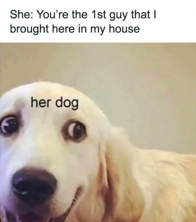 Funny Memes (24 pics)
