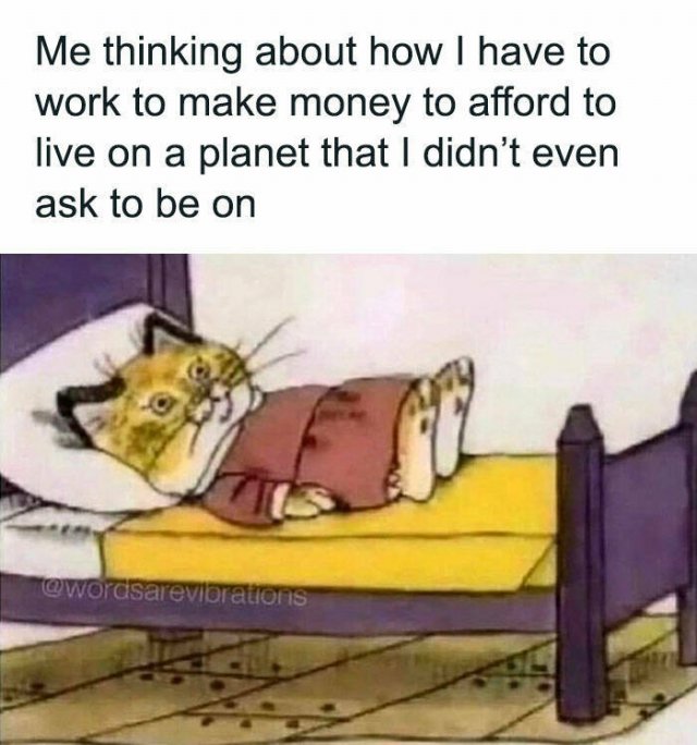Funny Memes (24 pics)