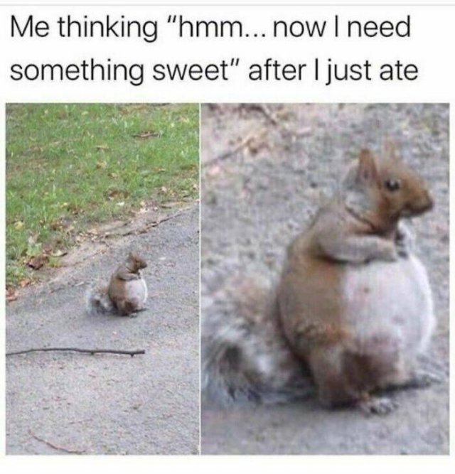 Funny Memes (24 pics)