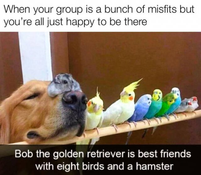 Jokes For Good Mood (14 pics)