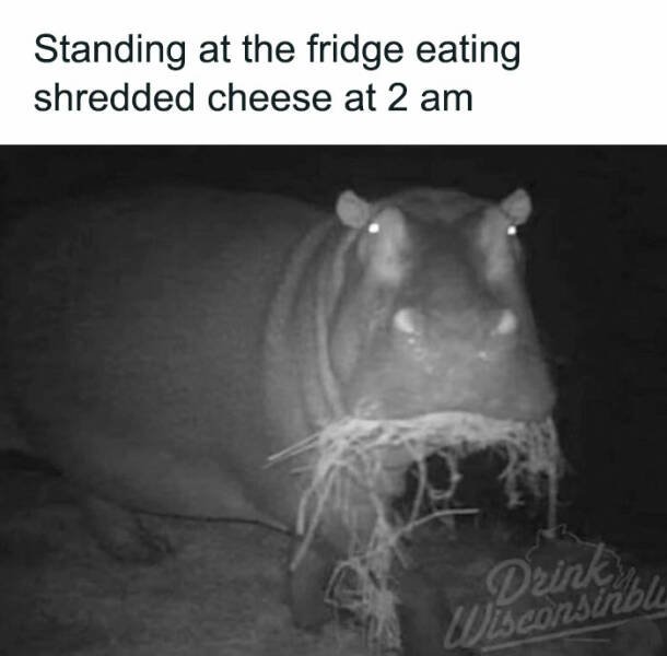 Funny Memes (24 pics)