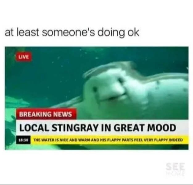 Jokes For Good Mood (14 pics)