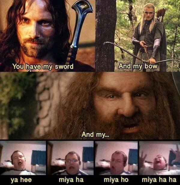 ''Lord Of The Rings'' Memes (18 pics)
