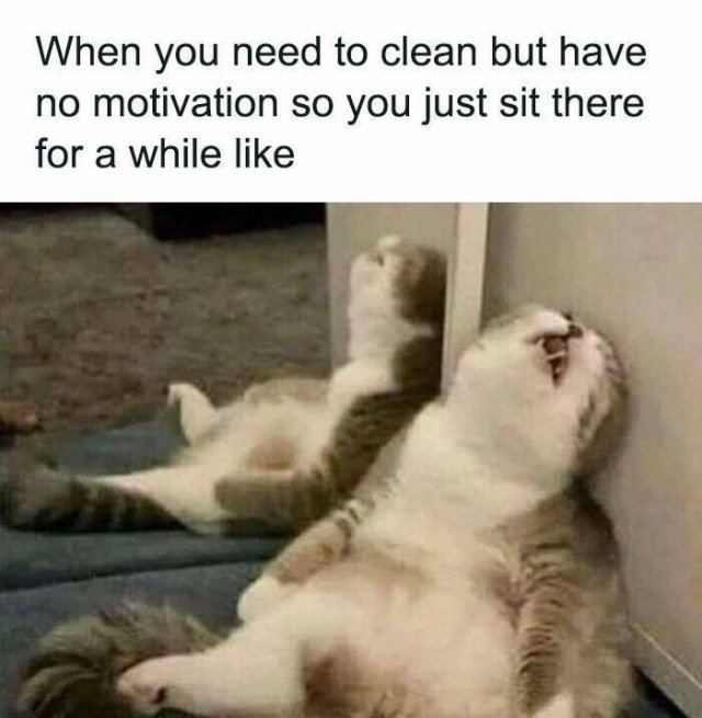 Funny Memes (24 pics)