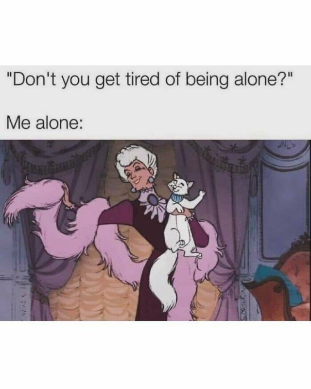 Funny Memes (24 pics)