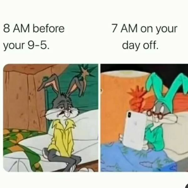 Funny Memes (24 pics)