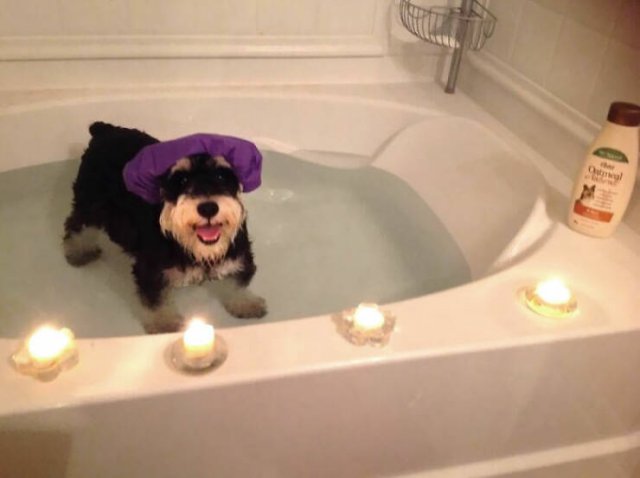 People Share Funny Moments With Their Relatives (25 pics)