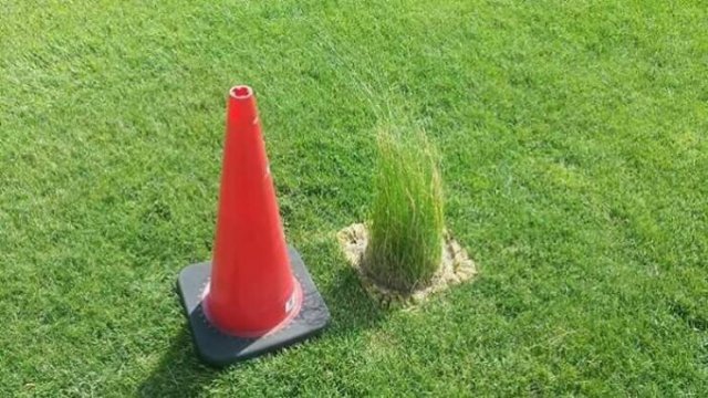 Epic Fails (24 pics)