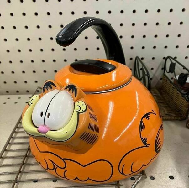 Finds In Thrift Shops And Jokes About It (24 pics)