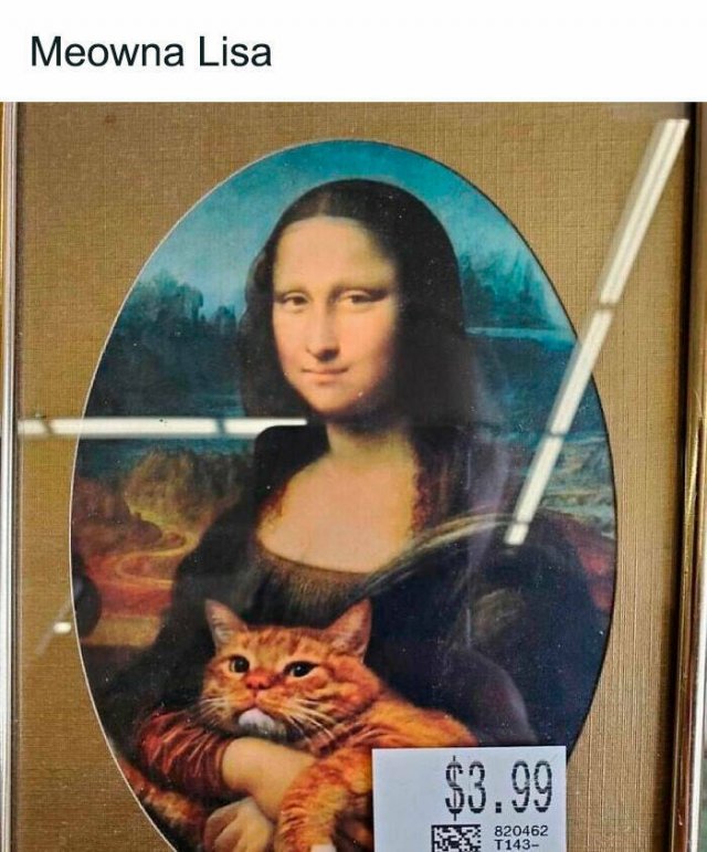 Finds In Thrift Shops And Jokes About It (24 pics)