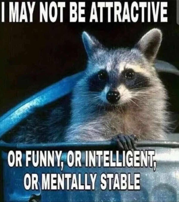 Funny Memes (19 pics)